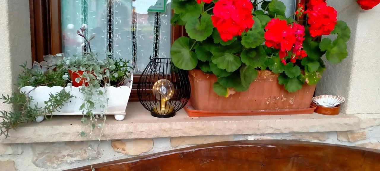 منزل الضيف Tereñes  في Tiu Xico المظهر الخارجي الصورة